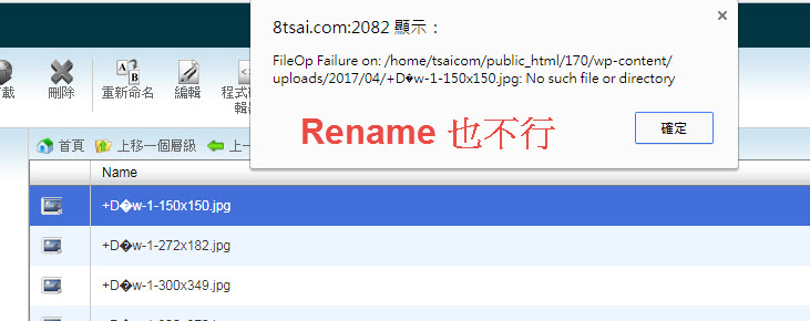 Rename 也不行